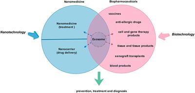 Mesenchymal Stem Cell–Derived Exosomes: A Promising Biological Tool in Nanomedicine